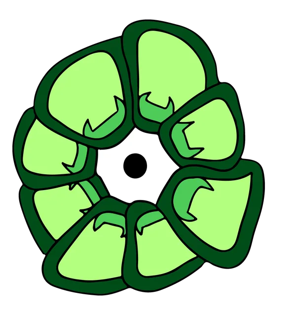 Il logo Dyelit: un fiore verde a sei petali con un occhio nero al centro.