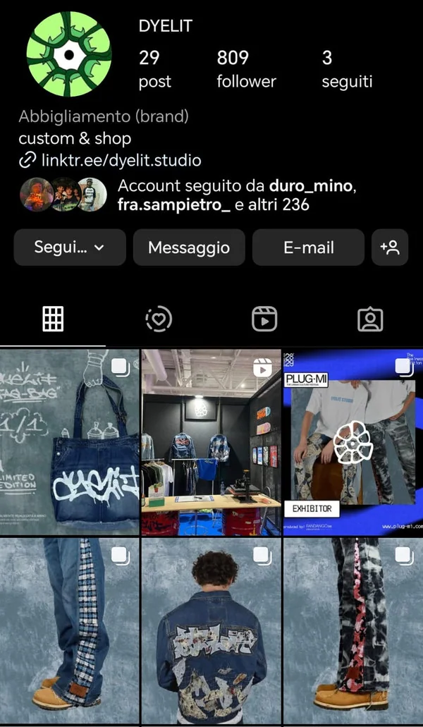 Il profilo Instagram dyelit.studio: 29 post, 809 follower.